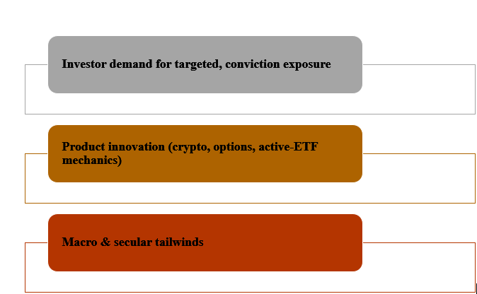 Aspects of thematic and alternative ETFs