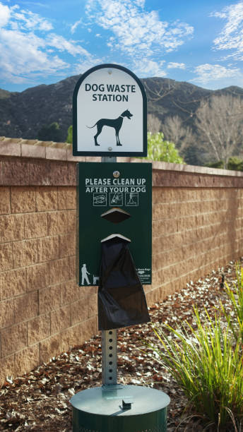 Dog Wate station