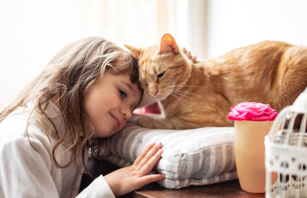 Pet and owner