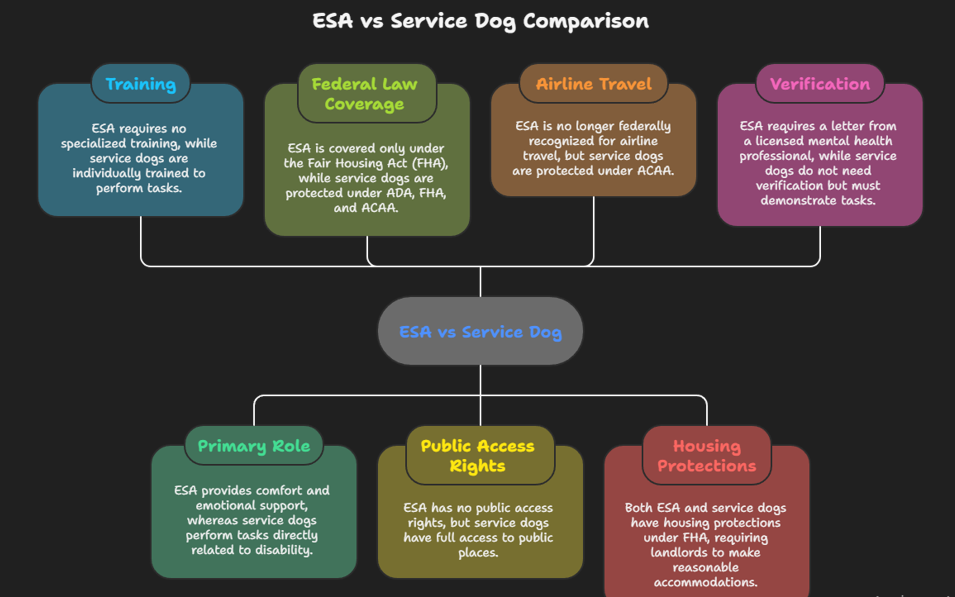 ESA vs. Service dog comparison