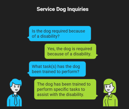 Service dog inquires