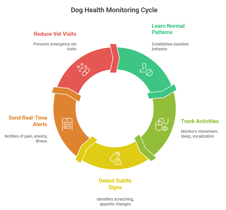 ai-driven behavior analysis improves your dog’s wellbeing