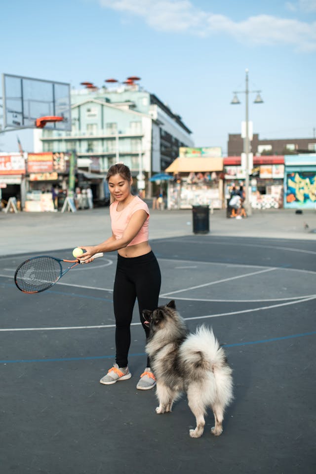 best dog exercise programs