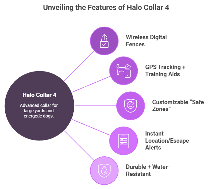 best dog fitness trackers